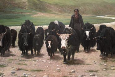 Han Yuchen - Tibet, splendore e purezza