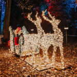 incanto-di-luci-botanical-garden-rome