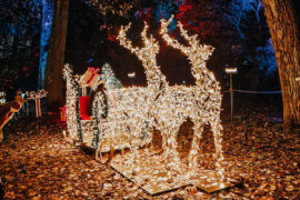 incanto-di-luci-botanical-garden-rome