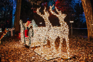 incanto-di-luci-botanical-garden-rome