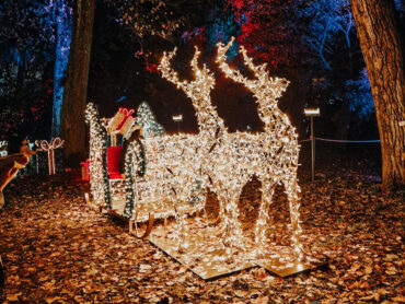 incanto-di-luci-botanical-garden-rome