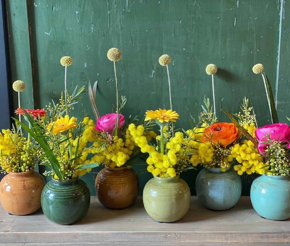 Mimosa Flowers in Italy A Women's Day Tradition Honoured for Over 60