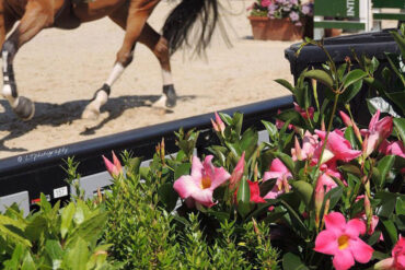 best-events-in-may-in-rome