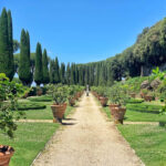 day-trip-from-rome-castel-gandolfo-gardens