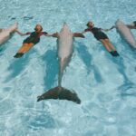 Zoomarine, il parco dei divertimenti acquatico di Roma