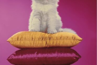 Chromotherapia. La fotografia a colori che rende felici