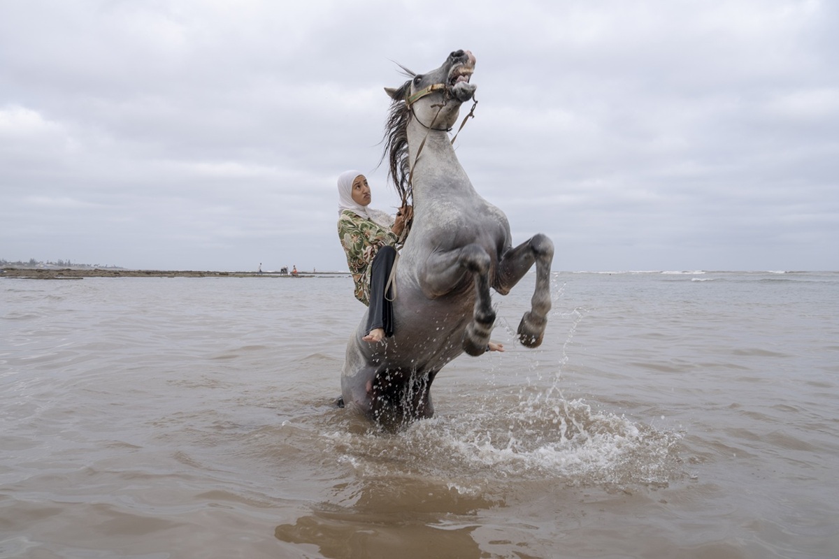 World Press Photo 2026 al Palazzo delle Esposizioni di Roma