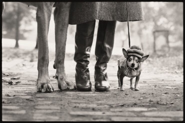 La fotografia di Elliott Erwitt a Palazzo Bonaparte
