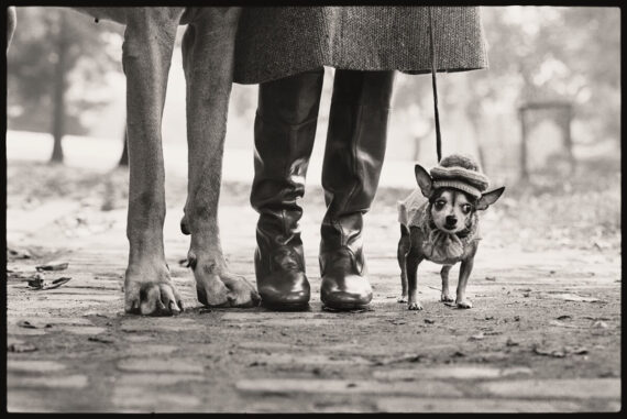 Palazzo Bonaparte hosts the late Elliot Erwitt and his legacy of witty photography