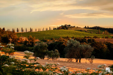 festival-todi