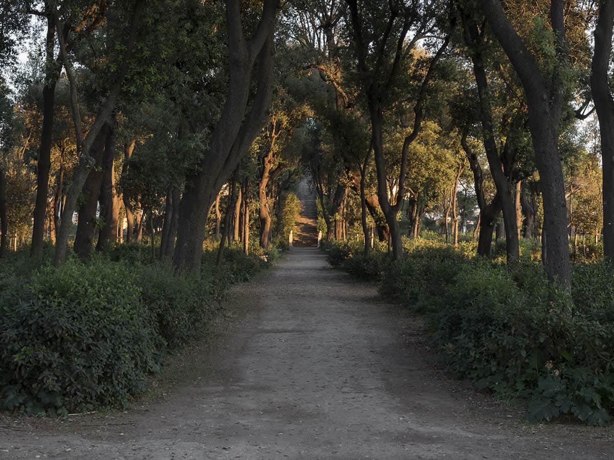 Jardin Villa Medici Rome