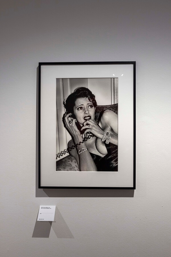 Helmut Newton. Legacy. Capturing beauty and aesthetics through a camera