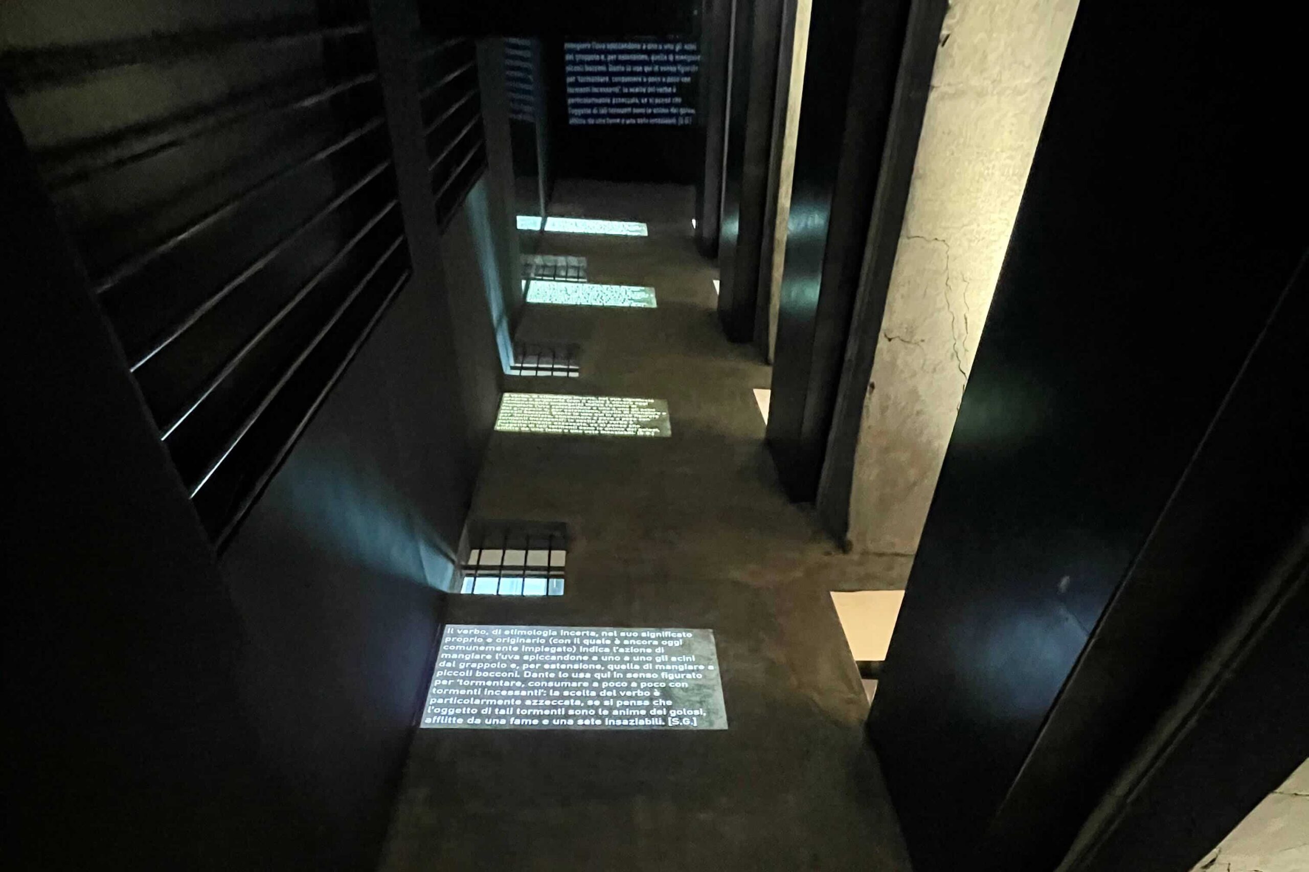 LaParolaDiDanteFrescaDiGiornata_Accademia della Crusca_rhinoceros gallery