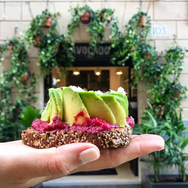 The Avocado Bar Rome