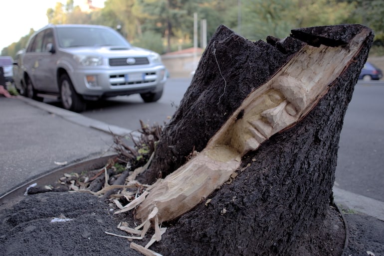 Andrea Gandini: the street artist that turns tree trunks into art