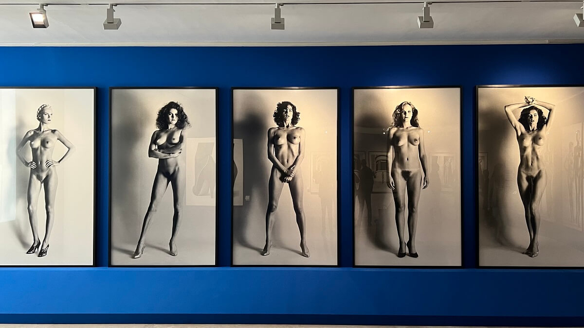 Helmut Newton. Legacy. Capturing beauty and aesthetics through a camera