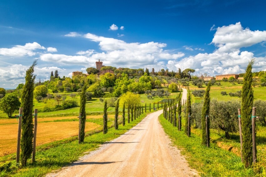 Day trip to Tuscany lunch and winetasting