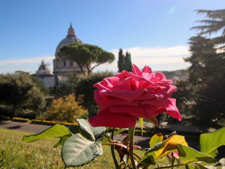 The Secret Gardens of the Vatican