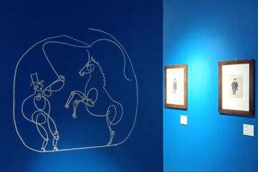 Picasso - Il linguaggio delle idee