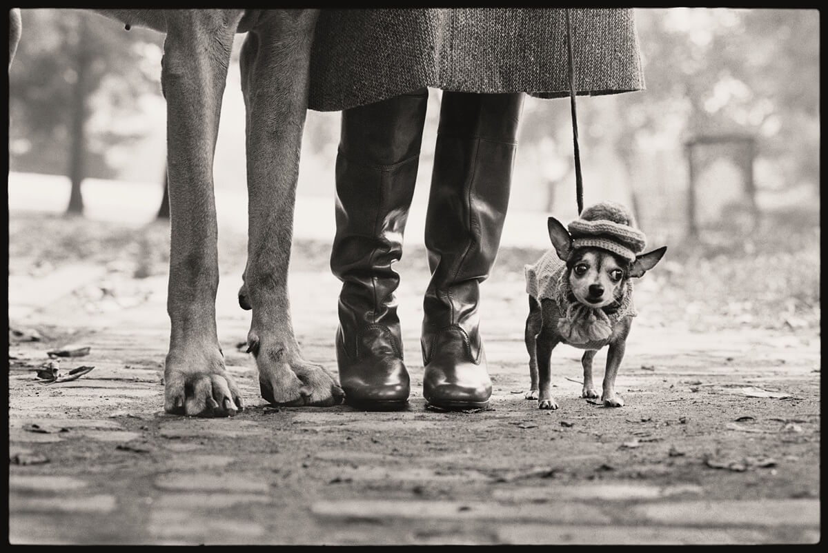 La fotografia di Elliot Erwitt a Palazzo Bonaparte a Roma.