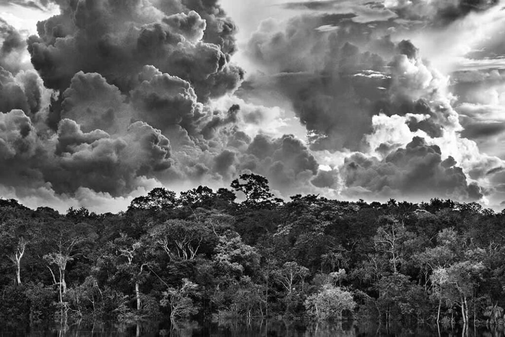 “Amazônia” Sebastião Salgado Exhibition at MAXXI