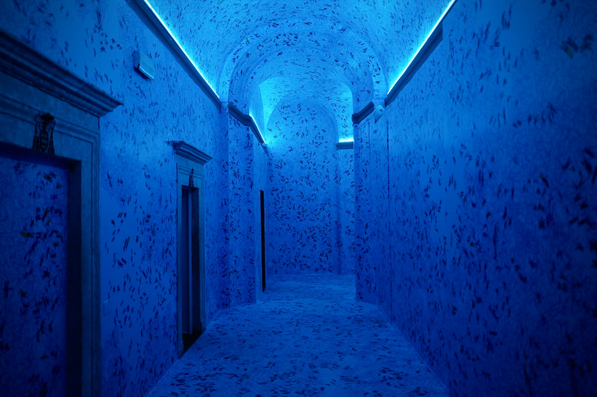 Emotion La mostra al chiostro del bramante di Roma