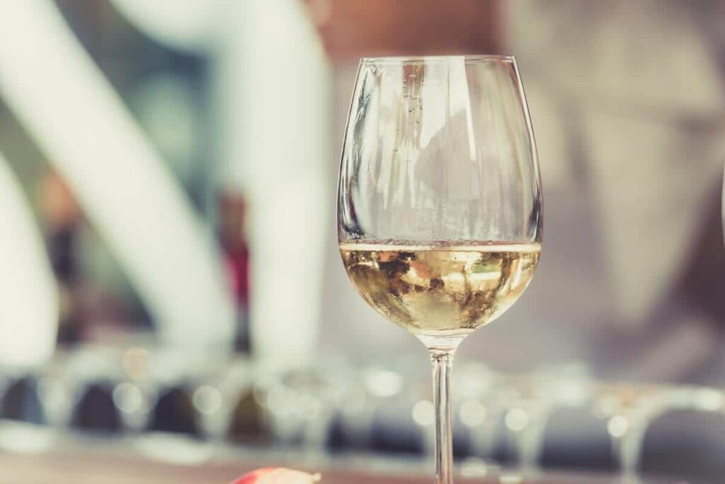 Best Italian wine varieties and producers