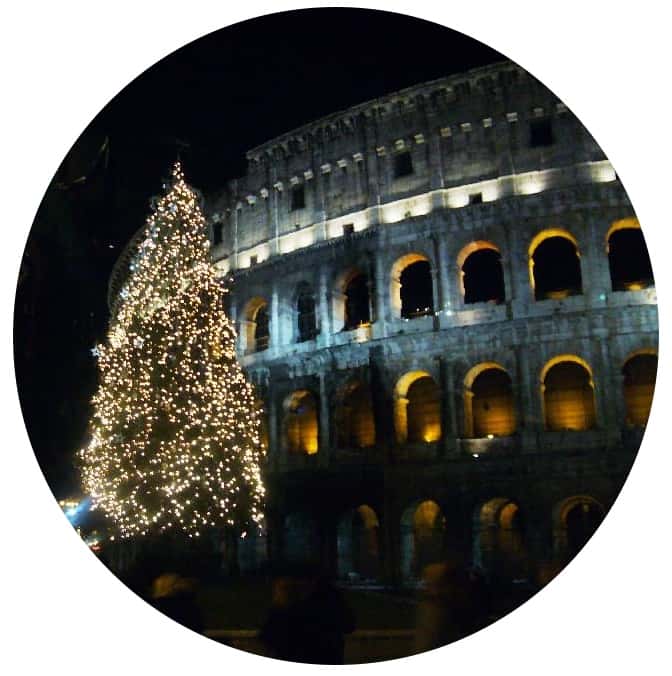 Where to buy Christmas trees in Rome