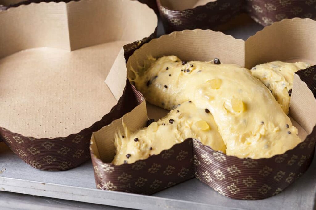 colomba-di-stefano