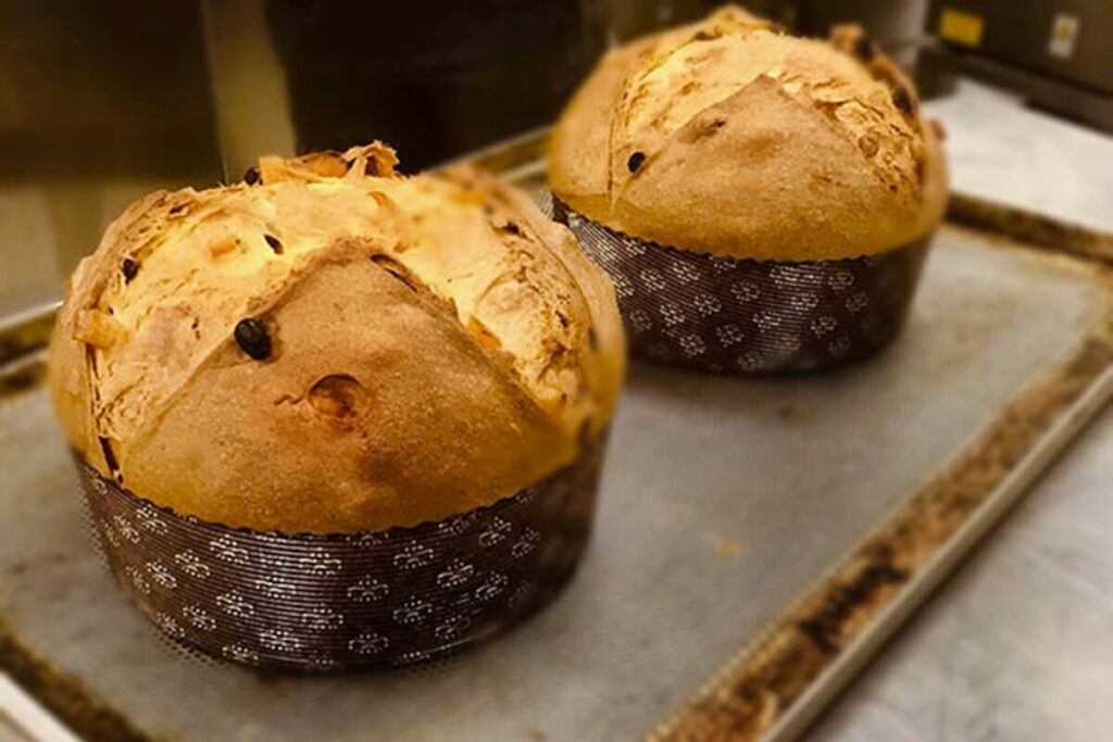 Christmas 2025: the best panettone, pandoro and Christmas hampers in Rome