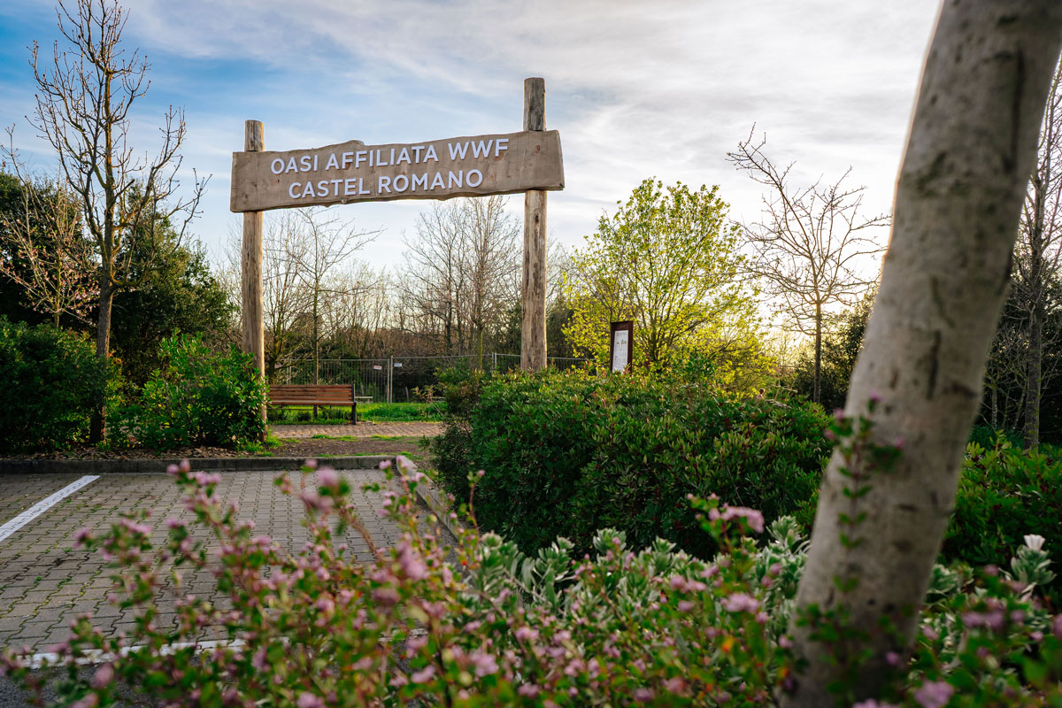Apre al pubblico l'Oasi Affiliata WWF di Castel Romano