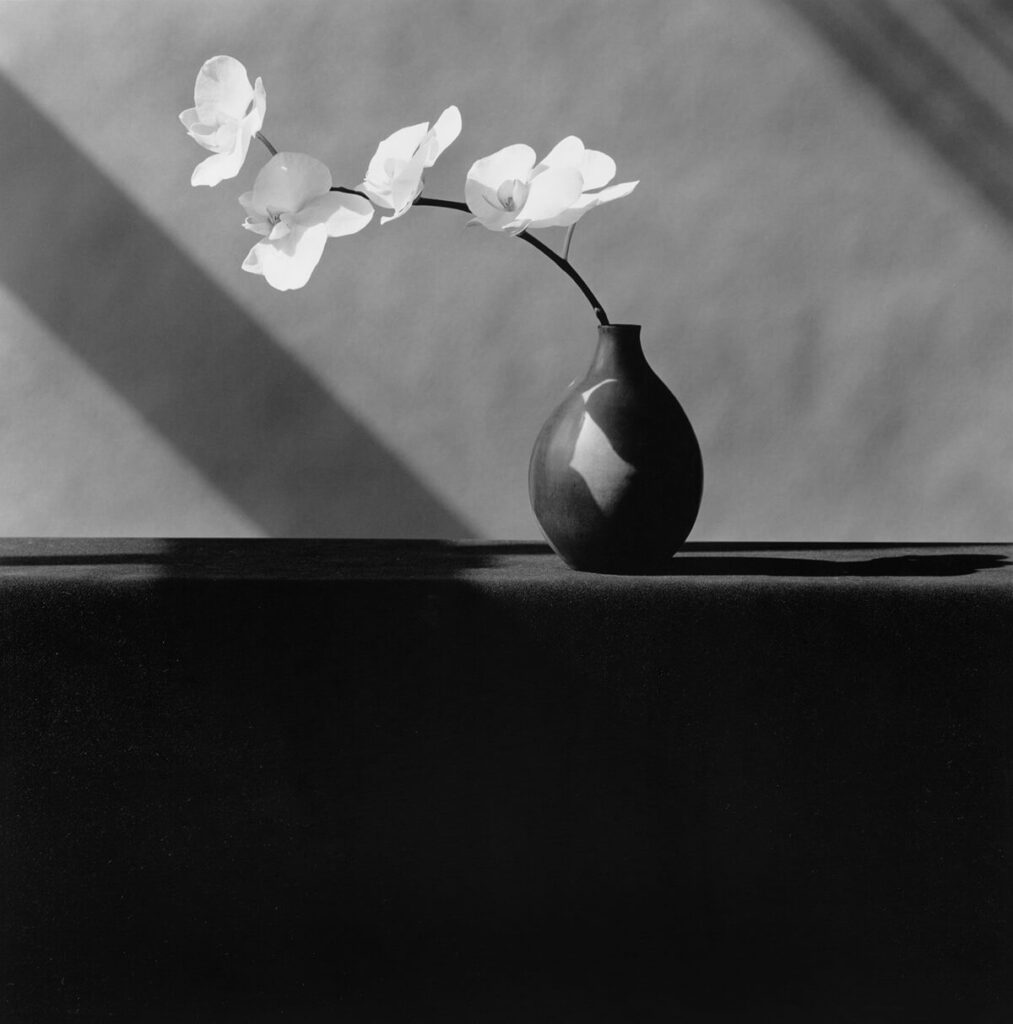 Robert Mapplethorpe and Humanity as Art