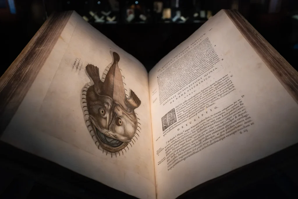 Catastrofe e Meraviglia_Aqvatilivm animalivm historiae di Ippolito Salviani_ph.Olivia Rainaldi_AQVA