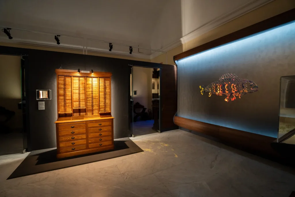 Antique wooden Typotheca type cabinet and Bill Moran’s LetterFish, a fish made of typographic letters, in the AQVA exhibition at the Vatican Library